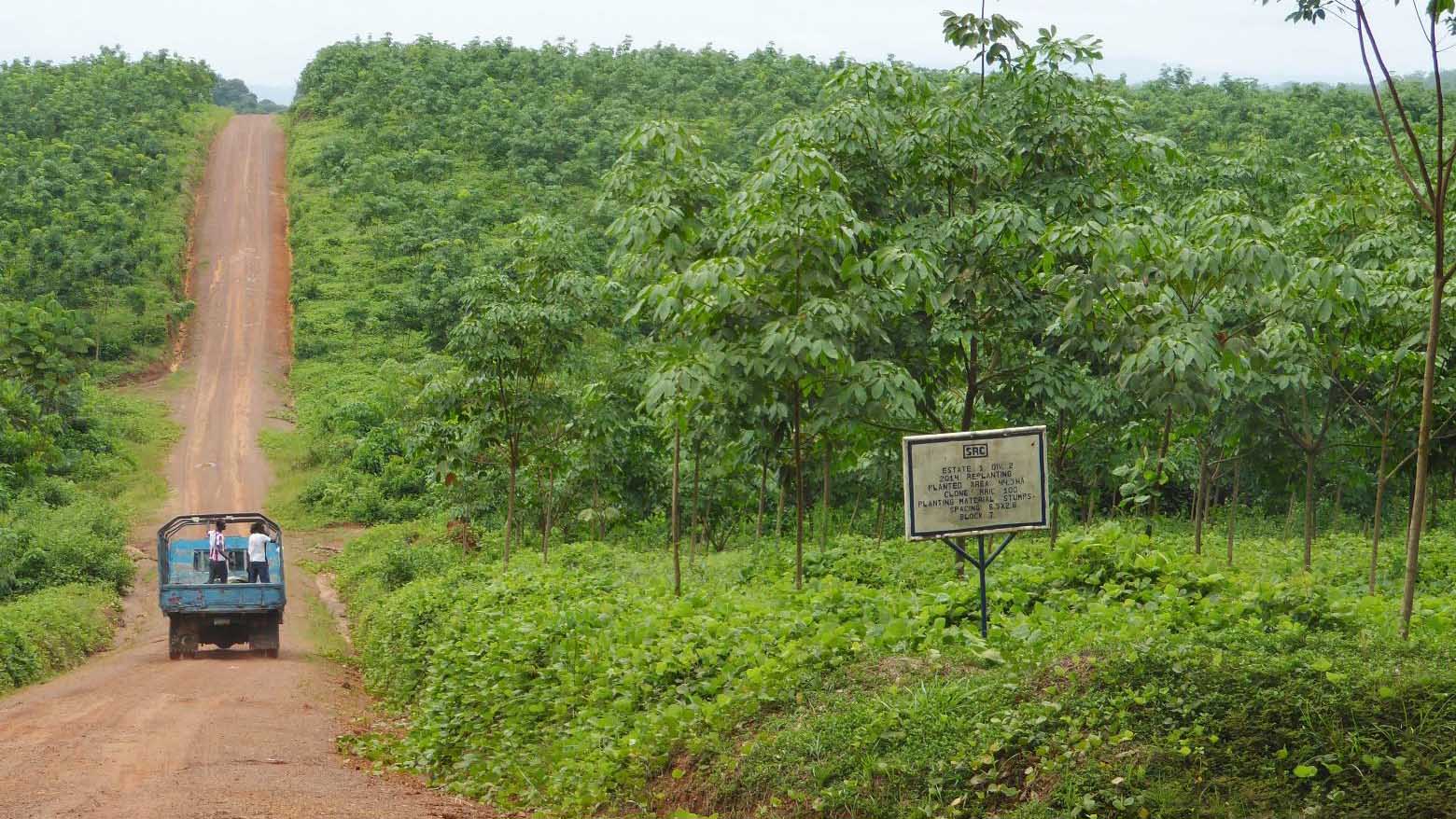 IFC Plays Pontius Pilate, Dodges Accountability for Harmful Rubber Project in Liberia after Six Years