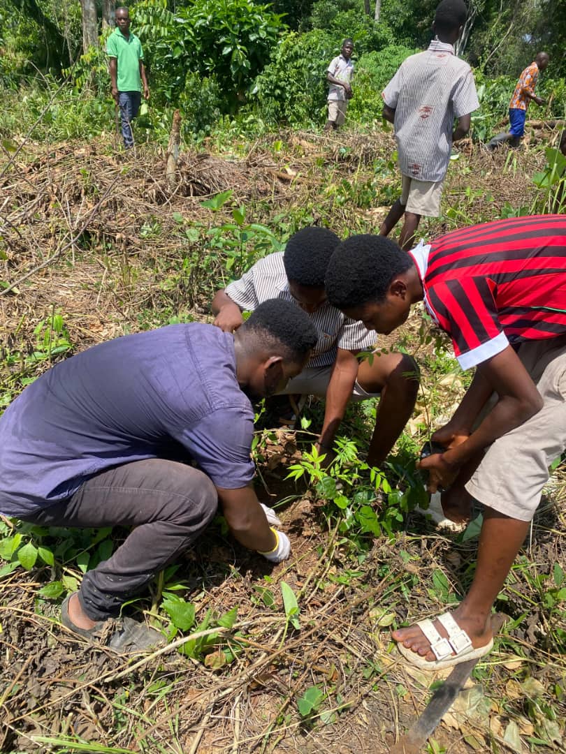 Roots of hope: CiCoNet communities in Nkoranza and Osino plant for the future
